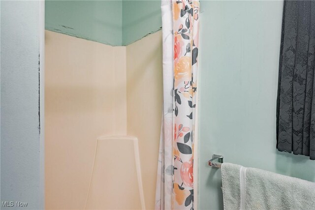 2691 State Route 339, Belpre, OH 45714 - full bath featuring a shower with shower curtain