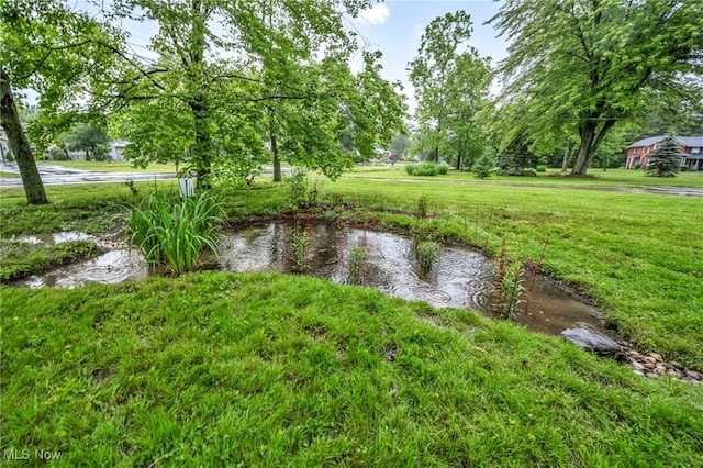 8743 Usher Rd, Olmsted Twp, OH 44138 - view of green lawn