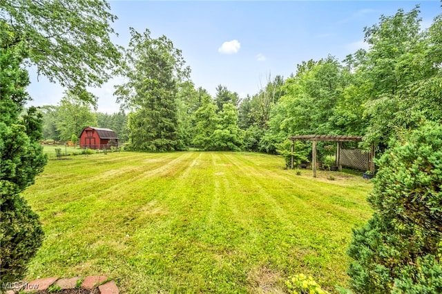 8743 Usher Rd, Olmsted Twp, OH 44138 - view of yard with a barn and an outbuilding
