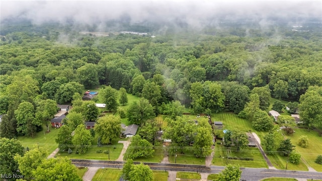 8743 Usher Rd, Olmsted Twp, OH 44138 - aerial view of a forest