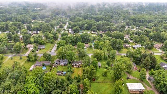 8743 Usher Rd, Olmsted Twp, OH 44138 - drone / aerial view