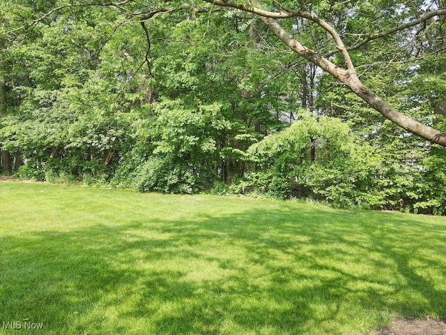 3392 Symphony St, Cuyahoga Falls, OH 44223 - photo 48
