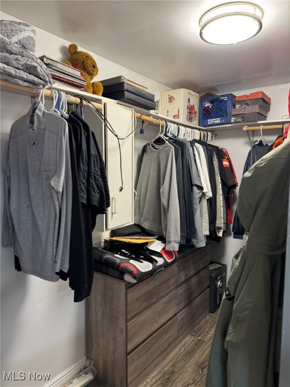 20684 Albion Rd, Strongsville, OH 44149 - walk in closet featuring wood finished floors