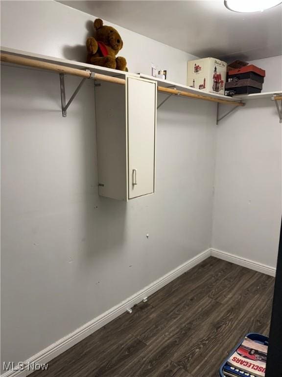 20684 Albion Rd, Strongsville, OH 44149 - spacious closet featuring dark wood-style flooring