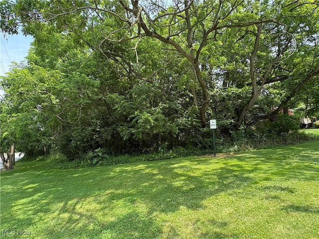 Penhale Ave, Campbell, OH 44405 - photo 1