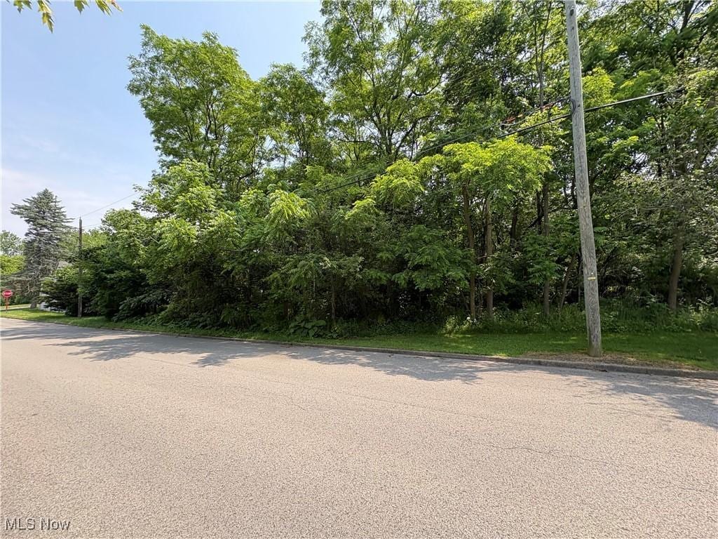 Penhale Ave, Campbell, OH 44405 - photo 2