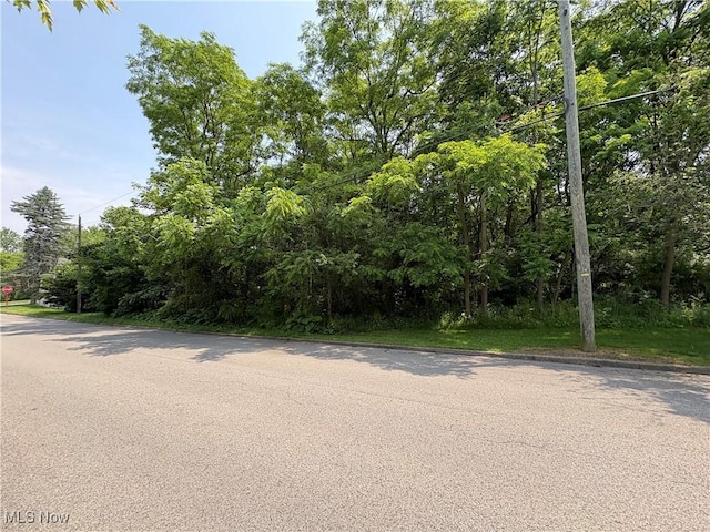 Penhale Ave, Campbell, OH 44405 - photo 2