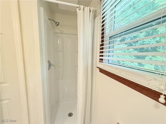 4901 Kings Creek Rd, Weirton, WV 26062 - full bath with a shower stall