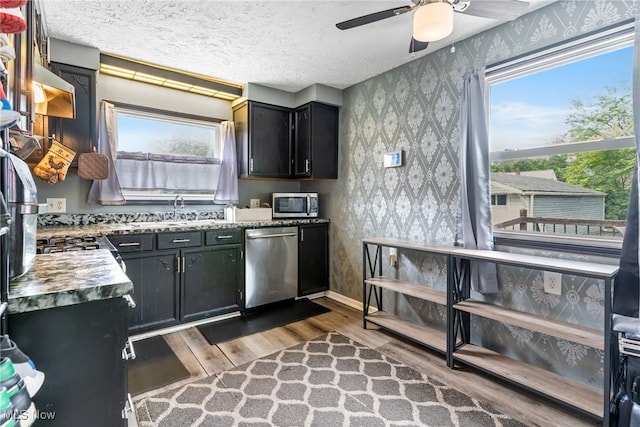 120 Palmetto Ave, Bedford, OH 44146 - kitchen with wallpapered walls, stainless steel appliances, wood finished floors, a ceiling fan, and plenty of natural light