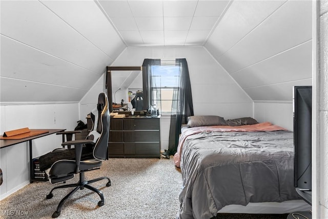 120 Palmetto Ave, Bedford, OH 44146 - bedroom with lofted ceiling, carpet, and an office area
