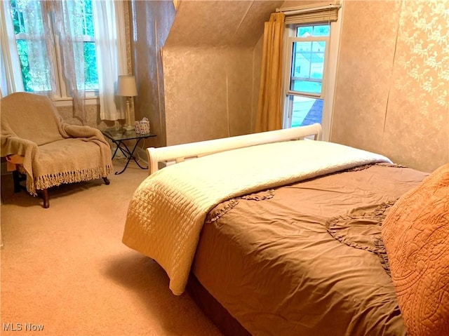 21437 Hillsdale Ave, Fairview Park, OH 44126 - view of carpeted bedroom