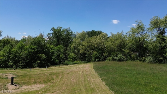 Moss Creek Cir, Smithville, OH 44677 - photo 4