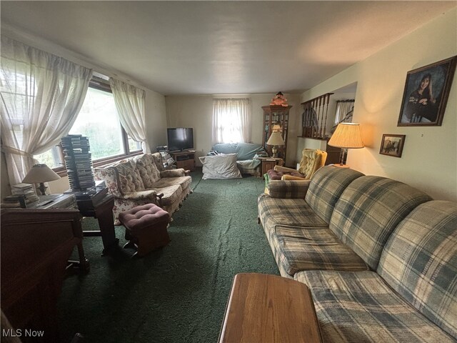 223 Sunset Ct, Columbiana, OH 44408 - view of carpeted living room