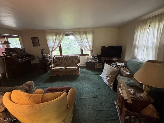 223 Sunset Ct, Columbiana, OH 44408 - living room with carpet flooring