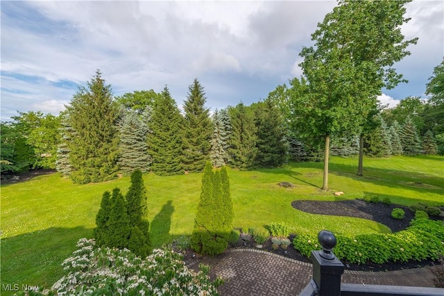 23225 Wingedfoot Dr, Westlake, OH 44145 - surrounding community with a lawn