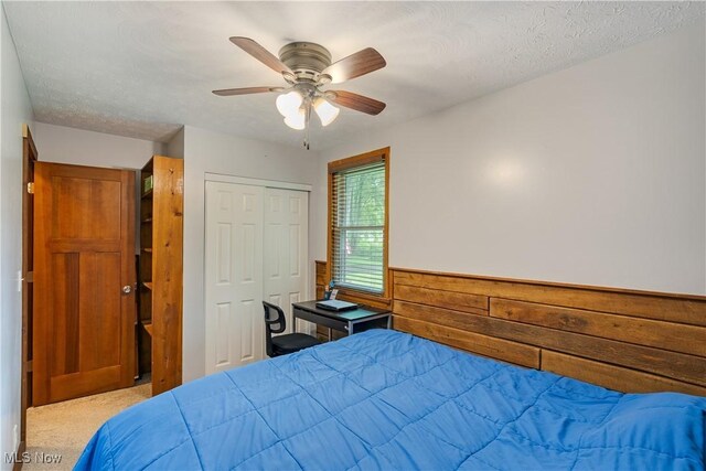 2762 Selkirk Bush Rd SW, Warren, OH 44481 - photo 44