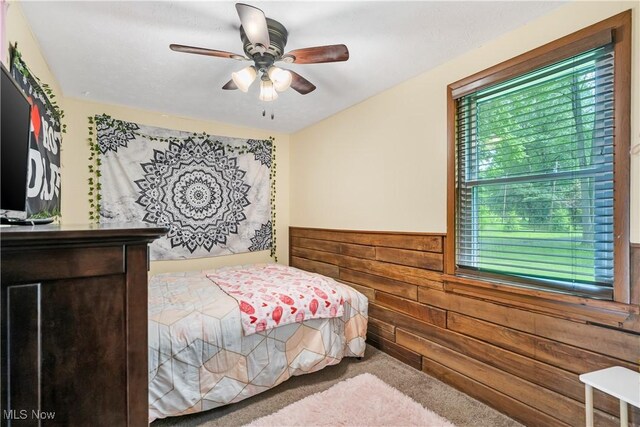2762 Selkirk Bush Rd SW, Warren, OH 44481 - photo 41