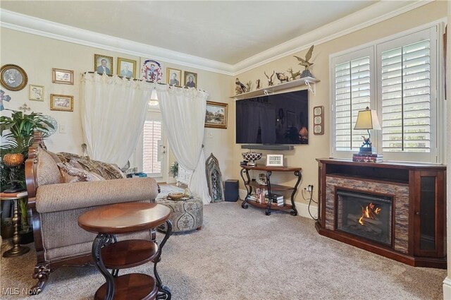 3571 Greenwich Rd, Barberton, OH 44203 - living area featuring crown molding, carpet floors, and a warm lit fireplace