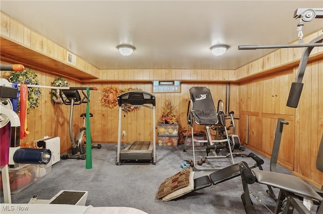 3571 Greenwich Rd, Barberton, OH 44203 - workout area featuring wooden walls and carpet