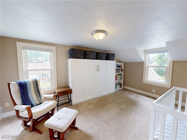 4982 14th St SW, Canton, OH 44710 - bedroom featuring multiple windows, a textured ceiling, light colored carpet, and lofted ceiling