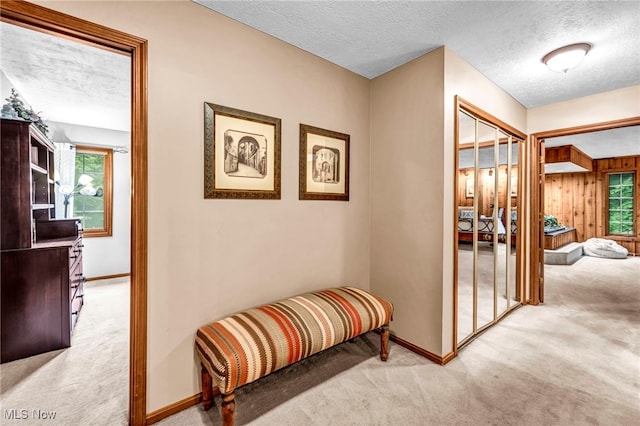 12938 Carter Rd, Leroy, OH 44077 - hallway featuring carpet and a textured ceiling