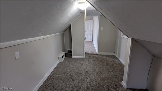 1111 2nd St NW, Canton, OH 44703 - additional living space with carpet and lofted ceiling