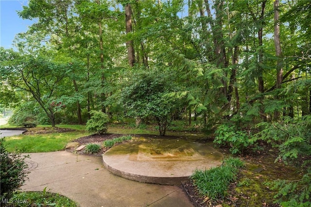 80 Hawthorne Ave, Rittman, OH 44270 - view of yard