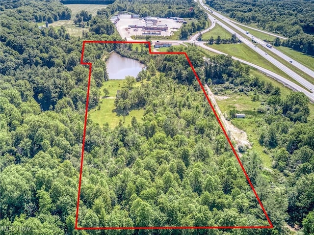 4333 State Route 225, Diamond, OH 44412 - photo 5