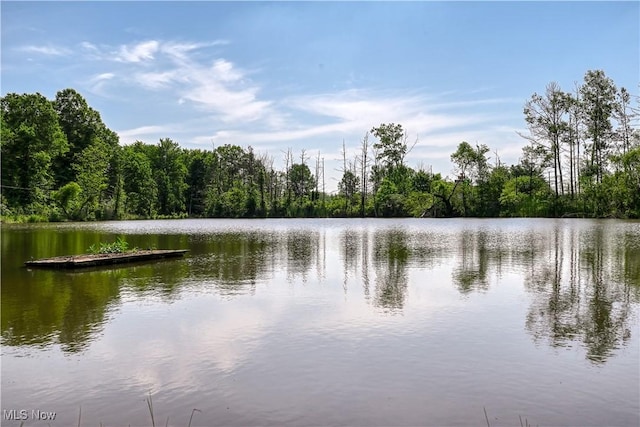 4333 State Route 225, Diamond, OH 44412 - photo 6