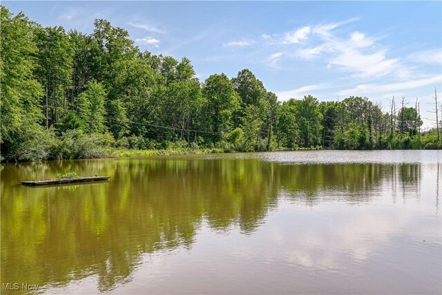 4333 State Route 225, Diamond, OH 44412 - photo 7