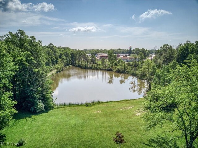 4333 State Route 225, Diamond, OH 44412 - photo 9