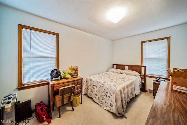 24270 Glenforest Rd, Euclid, OH 44123 - bedroom featuring light colored carpet