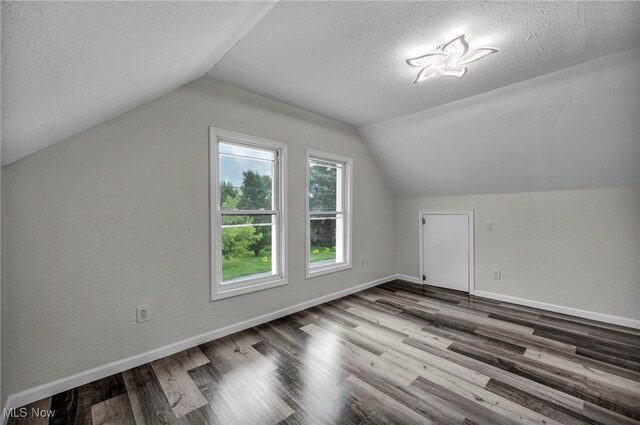 397 Furnace Rd, Conneaut, OH 44030 - additional living space with lofted ceiling, wood finished floors, and a textured ceiling