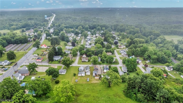 397 Furnace Rd, Conneaut, OH 44030 - aerial view of residential area