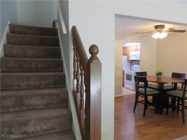 1609 S Main St Unit 22C, North Canton, OH 44709 - stairway with wood finished floors and a ceiling fan