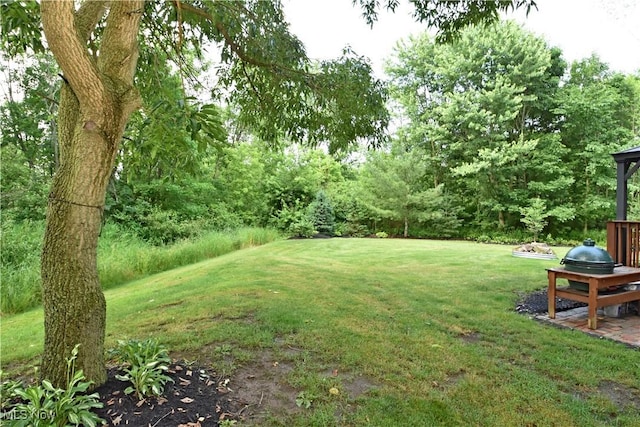 8025 Wadsworth Rd, Wadsworth, OH 44281 - view of green lawn