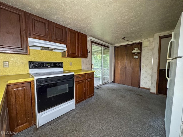 7918 State Route 164, Lisbon, OH 44432 - kitchen with white appliances, under cabinet range hood, a textured ceiling, dark carpet, and light countertops