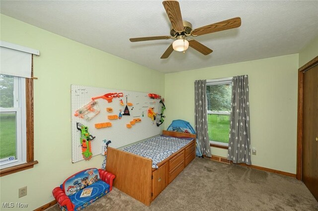 6111 State Route 82, Hiram, OH 44234 - carpeted bedroom featuring multiple windows and a ceiling fan
