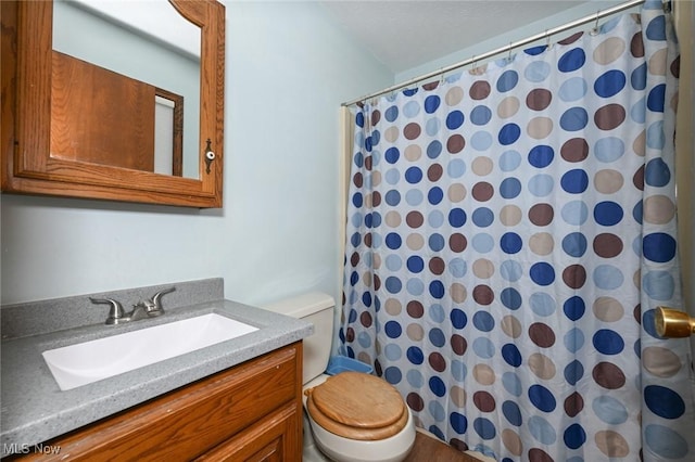 6111 State Route 82, Hiram, OH 44234 - full bathroom with vanity and curtained shower
