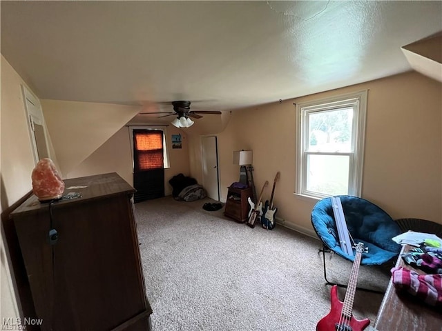 629 Willard Ave SE, Warren, OH 44483 - additional living space featuring ceiling fan, carpet, and vaulted ceiling