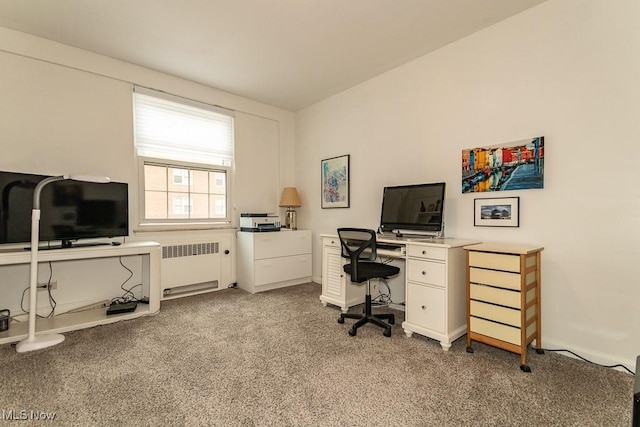 13800 Fairhill Rd Unit 206, Shaker Heights, OH 44120 - office featuring radiator heating unit and light colored carpet