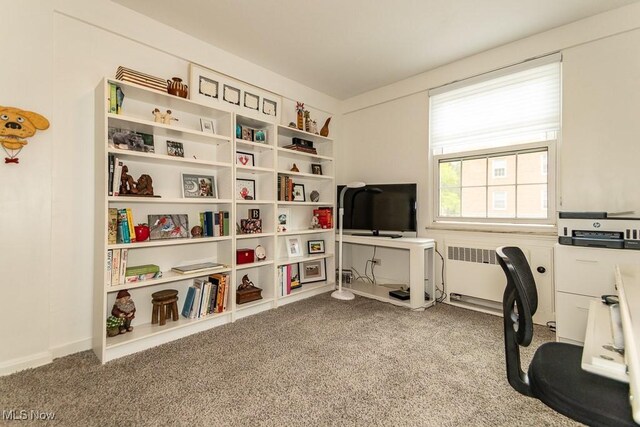 13800 Fairhill Rd Unit 206, Shaker Heights, OH 44120 - carpeted office featuring radiator heating unit and baseboards