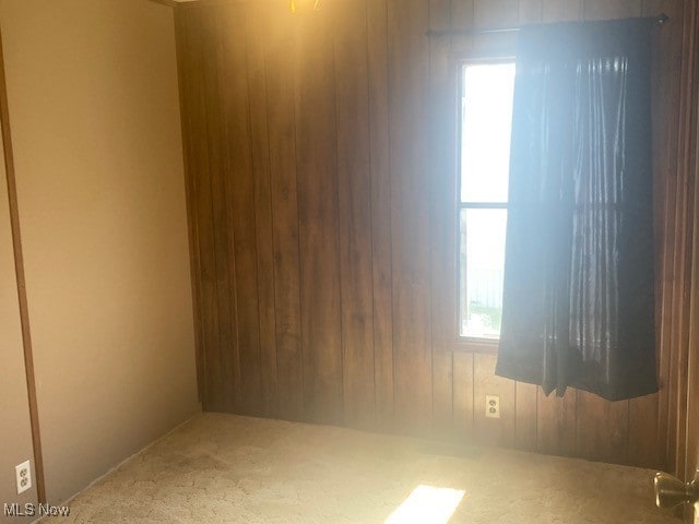 129 Bennett, Vienna, OH 44473 - carpeted spare room featuring healthy amount of natural light and wooden walls
