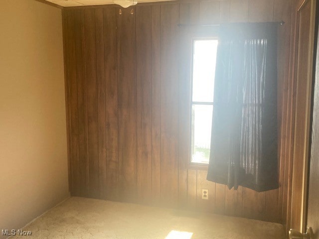 129 Bennett, Vienna, OH 44473 - empty room featuring healthy amount of natural light, wooden walls, carpet floors, and a ceiling fan