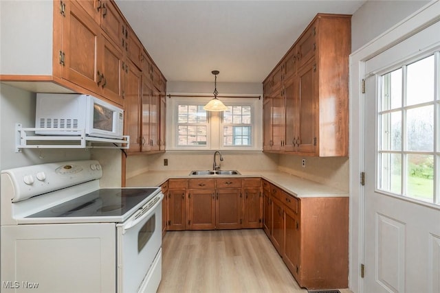 36 Rosedale Blvd, Norwalk, OH 44857 - kitchen featuring white appliances, brown cabinetry, light wood finished floors, and healthy amount of natural light