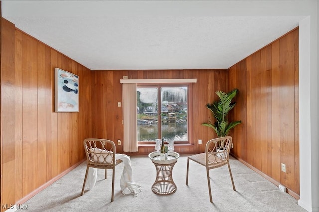 3568 Peninsula Dr, Coventry, OH 44319 - living area featuring wood walls, carpet floors, and a water view
