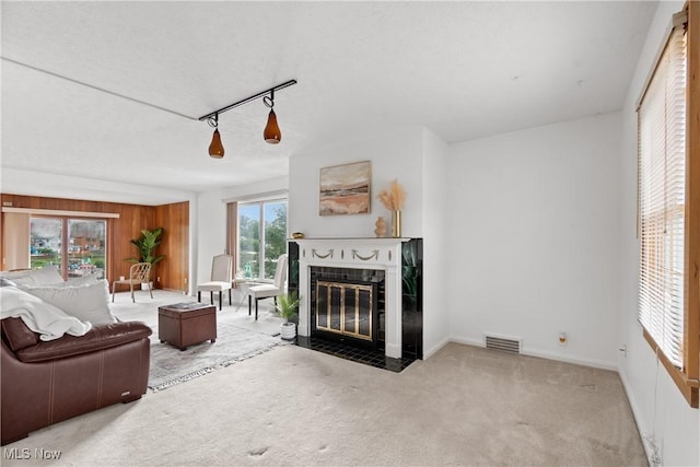 3568 Peninsula Dr, Coventry, OH 44319 - living room with carpet floors, a fireplace with flush hearth, and wooden walls