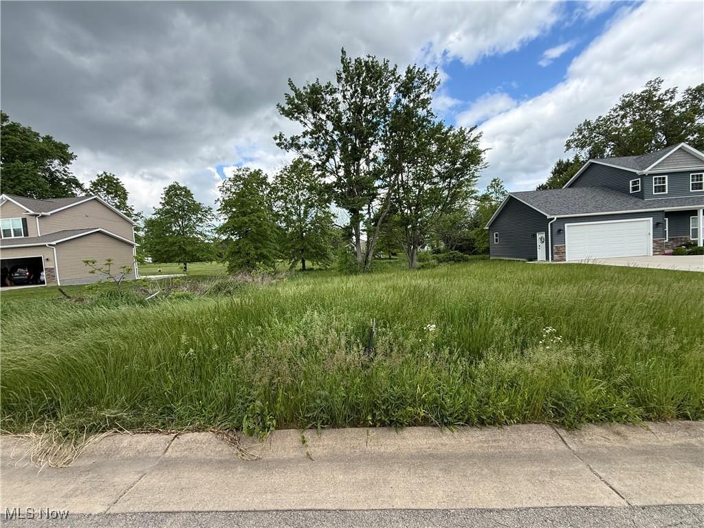 28 Eldon Ct, Columbiana, OH 44408 - photo 2