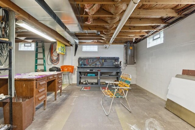 1114 Beechwood Rd, Salem, OH 44460 - below grade area featuring electric panel, healthy amount of natural light, and a workshop area