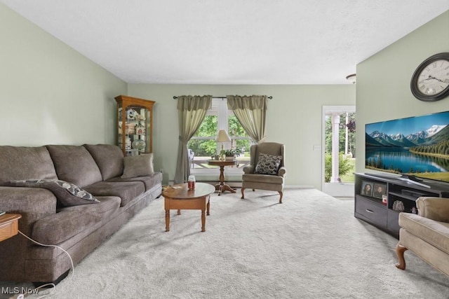 1114 Beechwood Rd, Salem, OH 44460 - carpeted living area with healthy amount of natural light